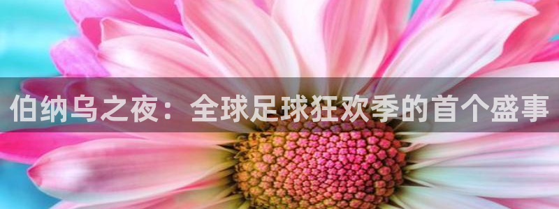 2006世界杯：伯纳乌之夜：全球足球狂欢季的首个盛事