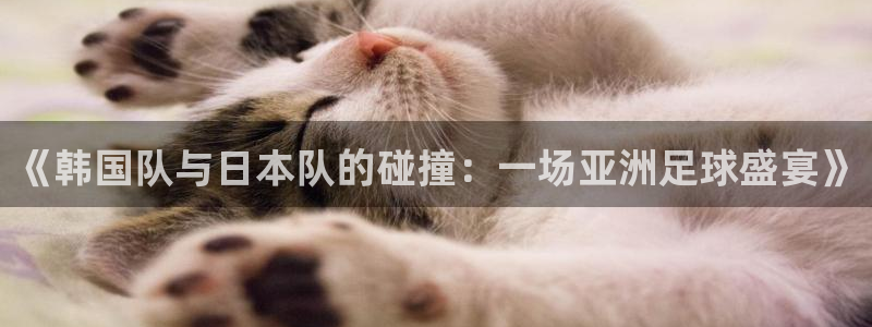 世界杯直播时间：《韩国队与日本队的碰撞：一场亚洲足球盛宴》
