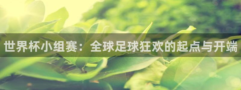 2026世界杯亚洲预选赛：世界杯小组赛：全球足球狂欢的起点与开端