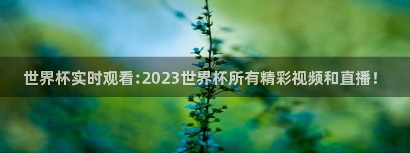 2026世界杯倒计时：世界杯实时观看:2023世界杯所有精彩视频和直播！