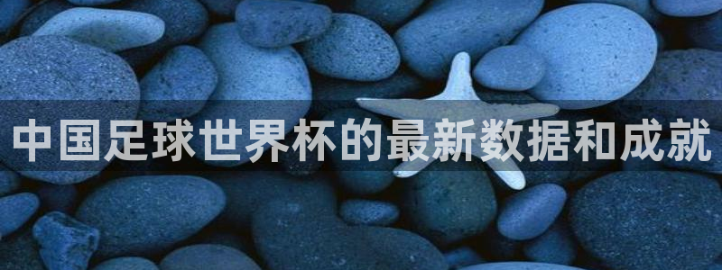 世界杯16强赛程表：中国足球世界杯的最新数据和成就