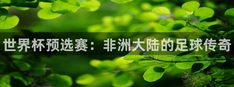 2026年男足世界杯：世界杯预选赛：非洲大陆的足球传奇