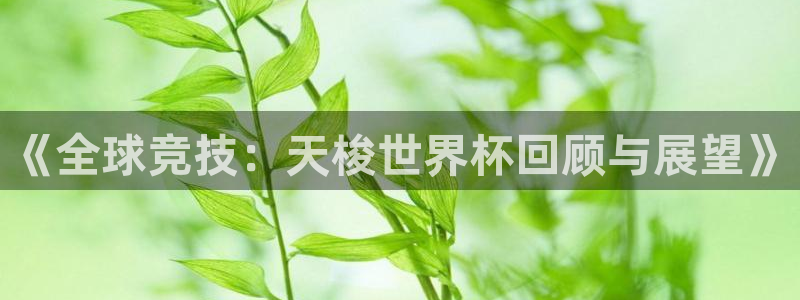 2006世界杯：《全球竞技：天梭世界杯回顾与展望》