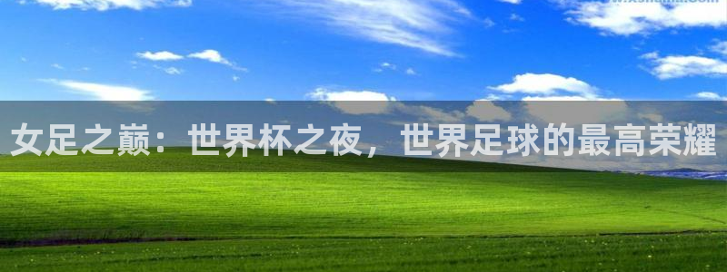 2026世界杯32强对阵图表：女足之巅：世界杯之夜，世界足球的最高荣耀